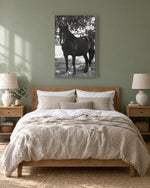 Load image into Gallery viewer, Ghost in the Shadows canvas print
