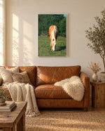 Load image into Gallery viewer, Golden and Glowing Amongst the Oaks canvas print
