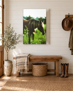 Load image into Gallery viewer, Halo of the Wild canvas print
