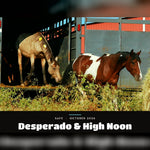 Load image into Gallery viewer, Desperado and High Noon arriving safe, October 2026
