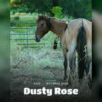 Load image into Gallery viewer, Dusty Rose, safe, October 2026
