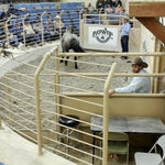 Load image into Gallery viewer, Moonrise in the Bowie sale ring
