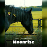 Load image into Gallery viewer, Moonrise, safe, October 2026
