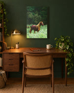 Load image into Gallery viewer, Painted in the Sunlight canvas print
