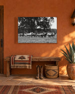 Load image into Gallery viewer, When the Herd Runs canvas print
