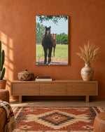 Load image into Gallery viewer, Where the Sun Finds Them canvas print
