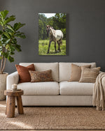 Load image into Gallery viewer, Where the Sun Rest canvas print
