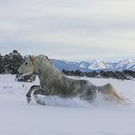 Load image into Gallery viewer, Storm of Sand Wash Basin
