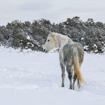 Load image into Gallery viewer, Storm of Sand Wash Basin
