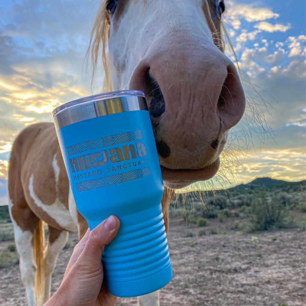 Classic Logo Tumbler