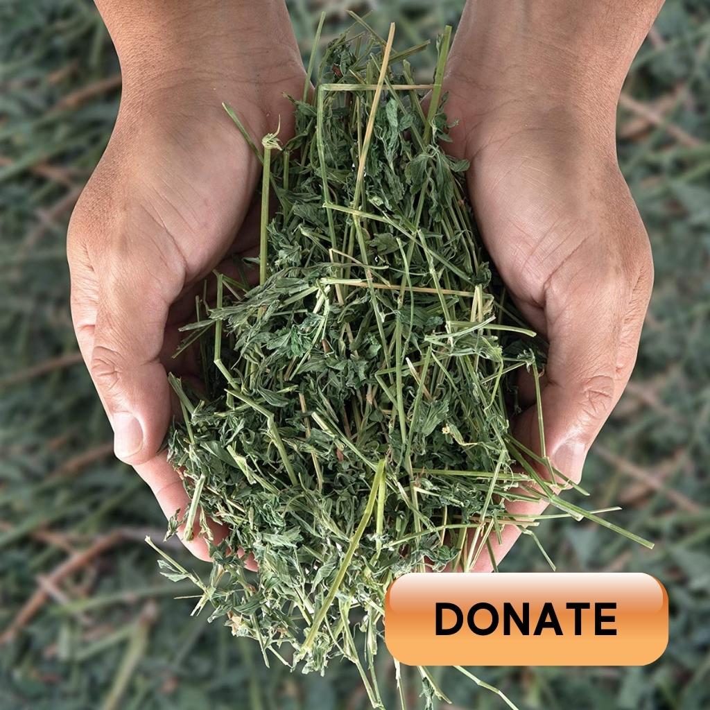 Contribute to the Hay Fund