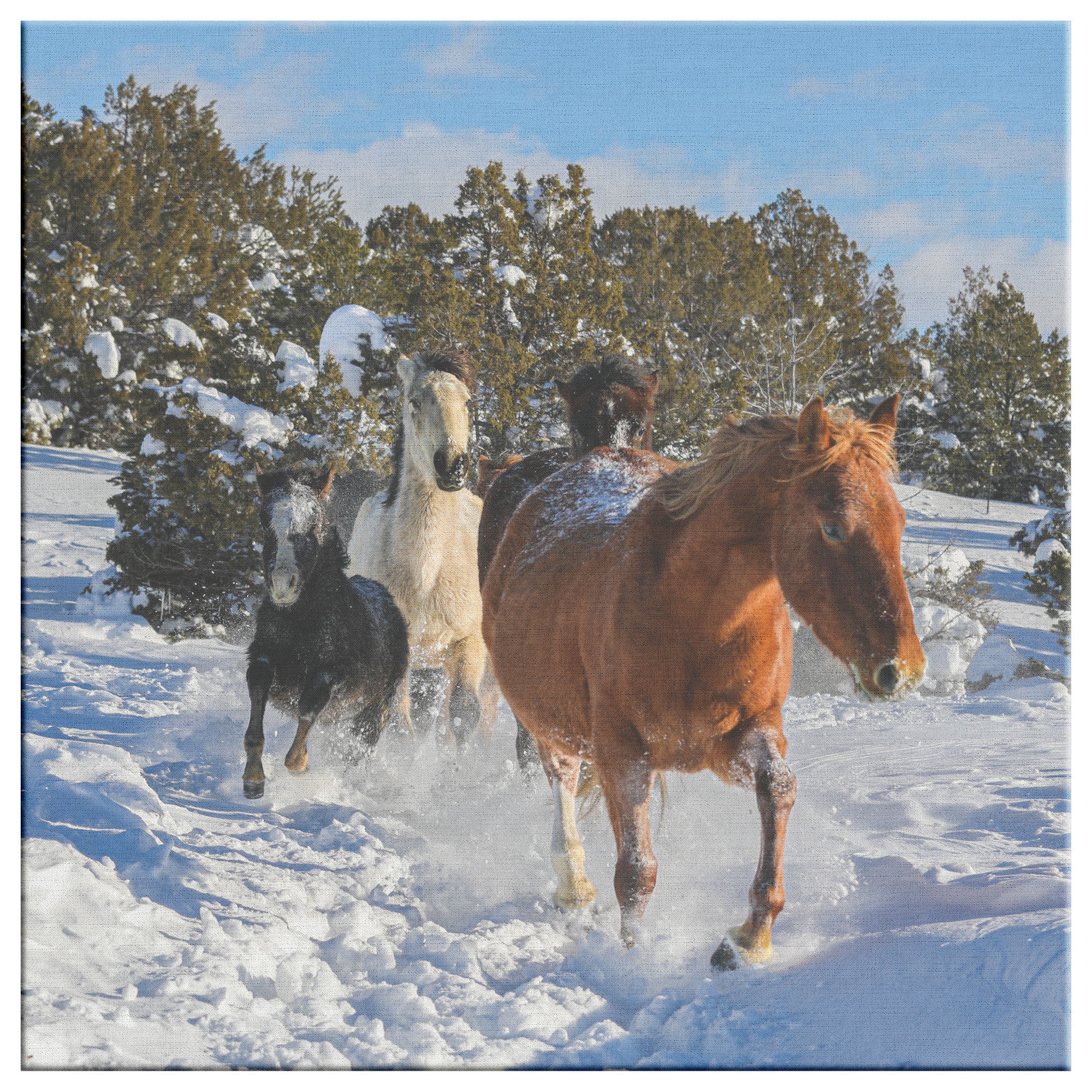 "A Run in the Snow" Canvas Wall Hanging
