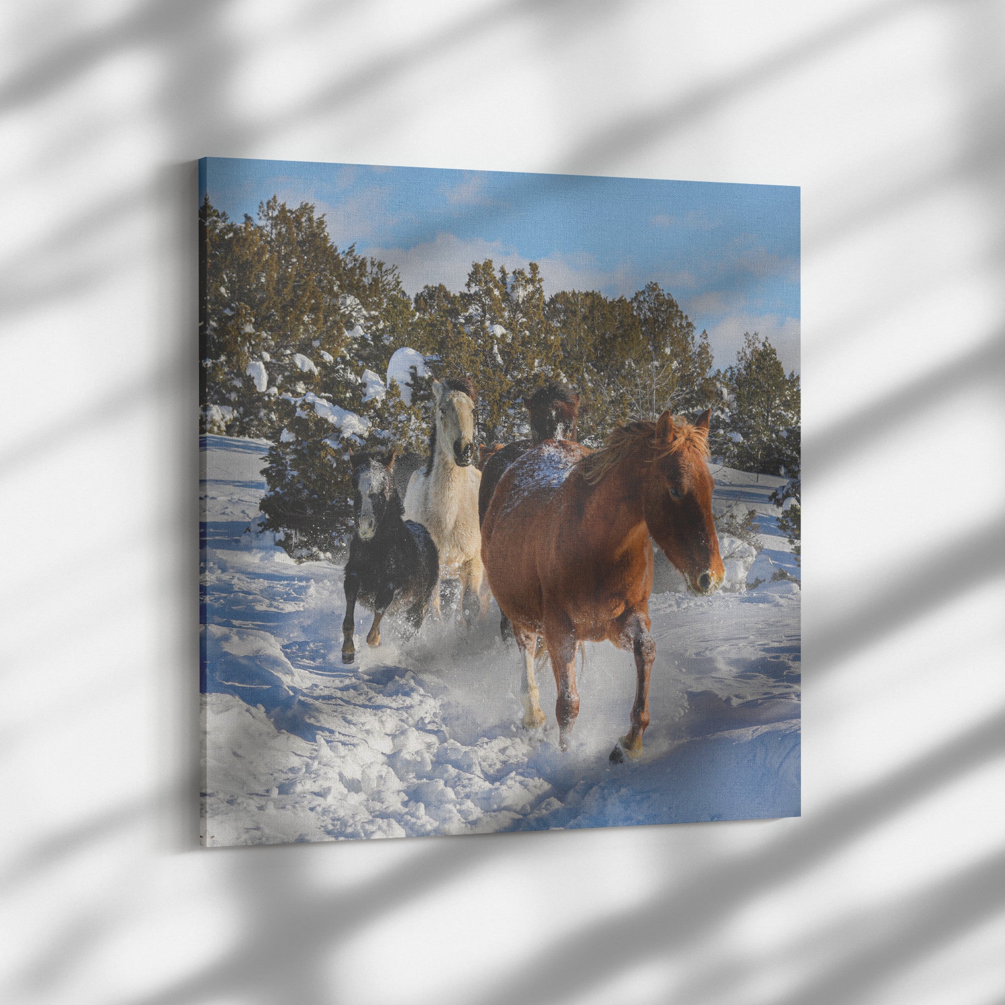 "A Run in the Snow" Canvas Wall Hanging