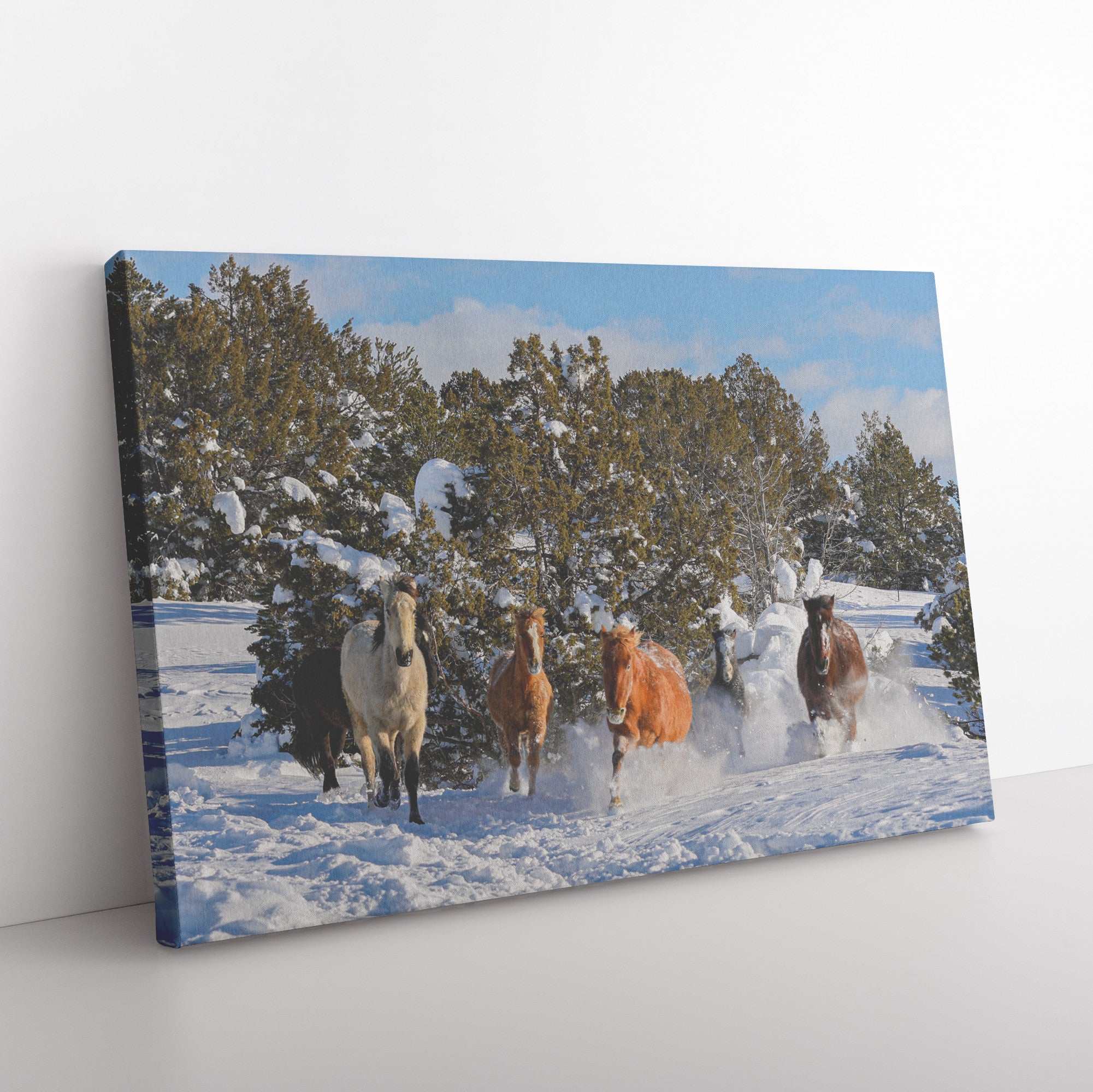 "Alpine Wild Horses Frolic" Canvas Wall Hanging