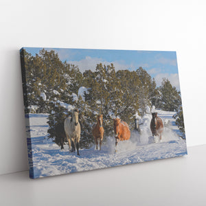 "Alpine Wild Horses Frolic" Canvas Wall Hanging