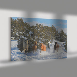 "Alpine Wild Horses Frolic" Canvas Wall Hanging