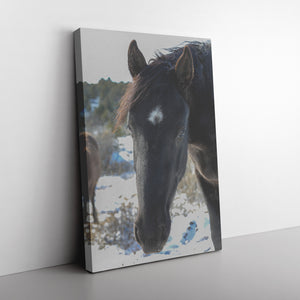 "Curiosity" Canvas Wall Hanging