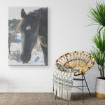 Load image into Gallery viewer, &quot;Curiosity&quot; Canvas Wall Hanging
