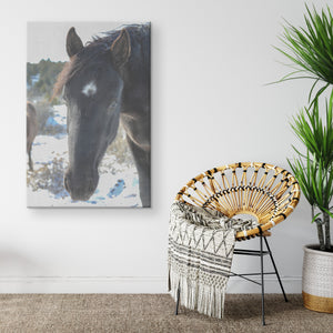 "Curiosity" Canvas Wall Hanging