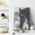 Load image into Gallery viewer, &quot;Curiosity&quot; Canvas Wall Hanging
