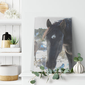 "Curiosity" Canvas Wall Hanging