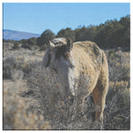 Load image into Gallery viewer, &quot;Peek-a-Boo&quot; Canvas Wall Hanging

