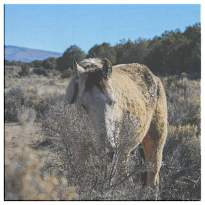 "Peek-a-Boo" Canvas Wall Hanging