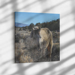 Load image into Gallery viewer, &quot;Peek-a-Boo&quot; Canvas Wall Hanging
