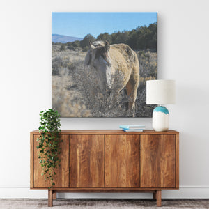 "Peek-a-Boo" Canvas Wall Hanging