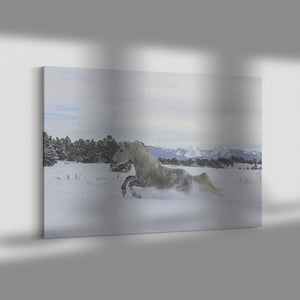 "Learning to Fly" Canvas Wall Hanging