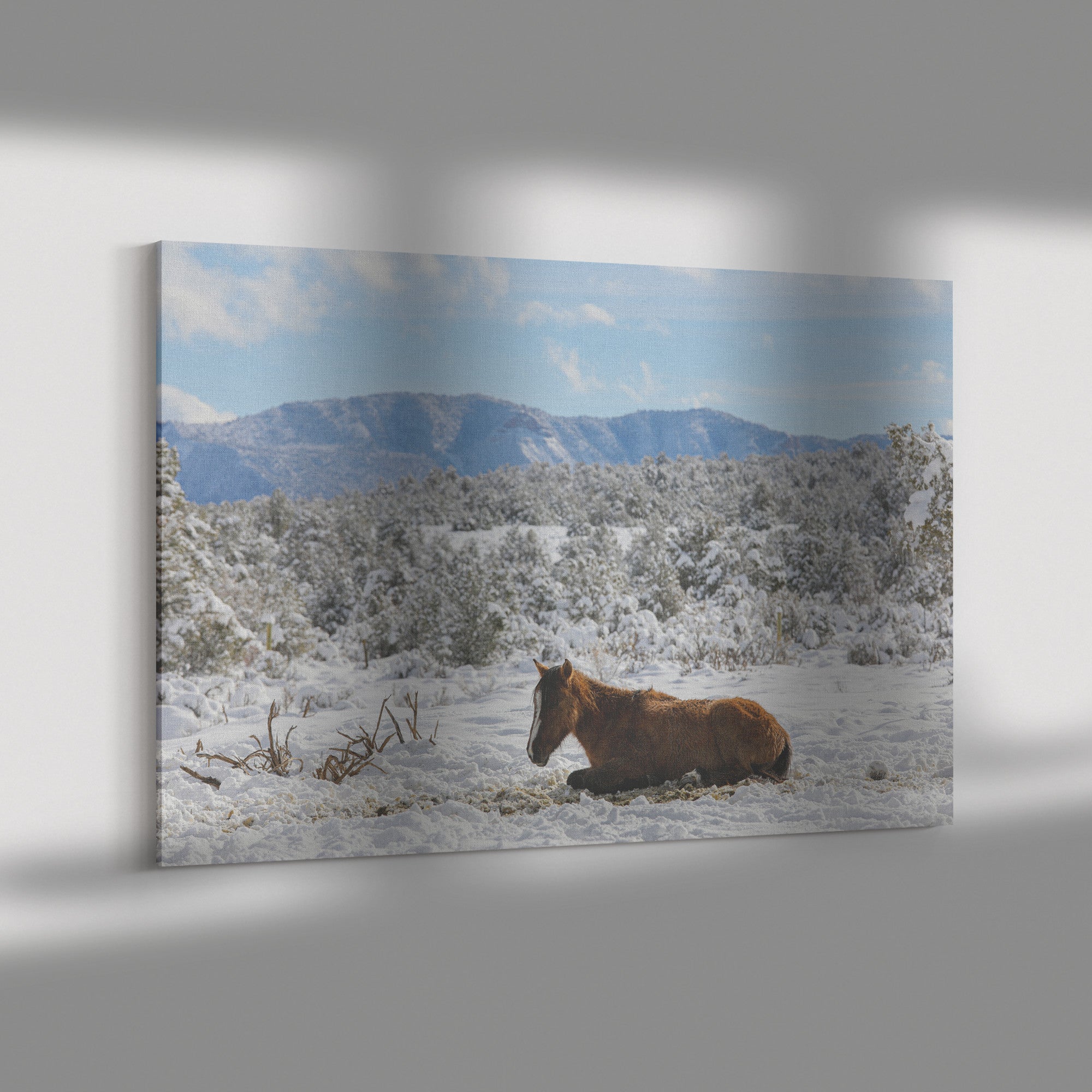 "Winter Nap" Canvas Wall Hanging