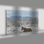 Load image into Gallery viewer, &quot;Winter Nap&quot; Canvas Wall Hanging
