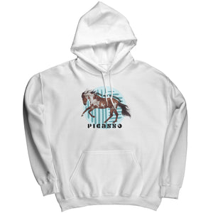 "Picasso" Collector's Hoodie
