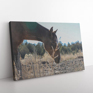 "The Afternoon" Canvas Wall Hanging