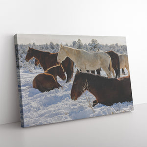 "Sleeping Beauties" Canvas Wall Hanging
