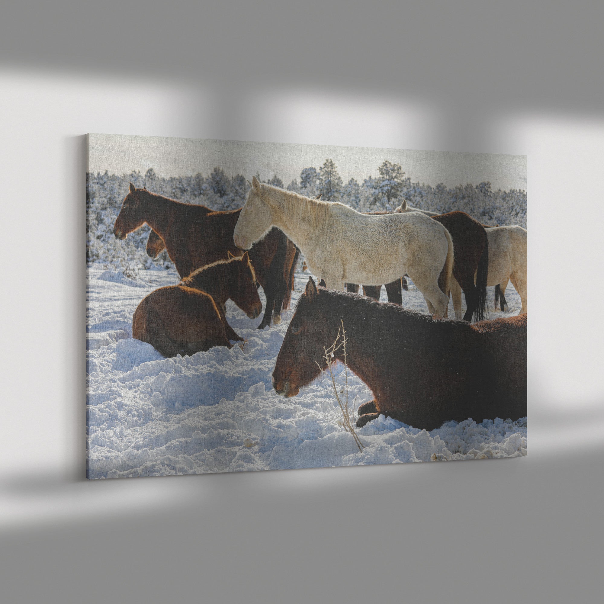 "Sleeping Beauties" Canvas Wall Hanging