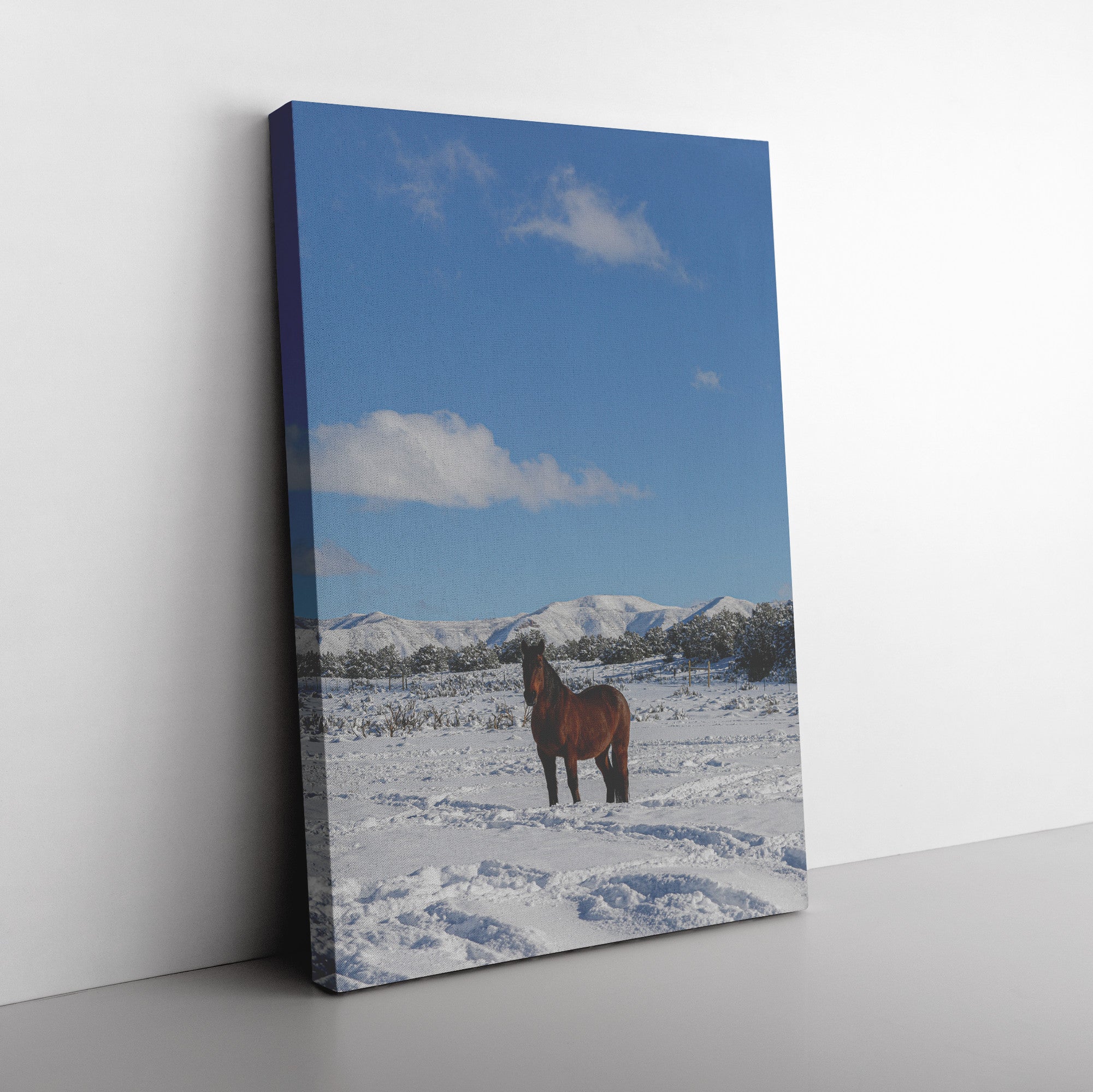 "Stillness of Winter" Canvas Wall Hanging