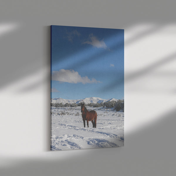 &amp;quot;Stillness of Winter&amp;quot; Canvas Wall Hanging – Nirvana Mustang Sanctuary