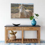 Load image into Gallery viewer, Sundancer in the Fall
