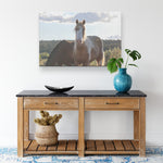 Load image into Gallery viewer, &quot;Sundancer&#39;s Gaze&quot; Canvas Wall Hanging
