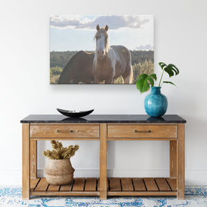 "Sundancer's Gaze" Canvas Wall Hanging