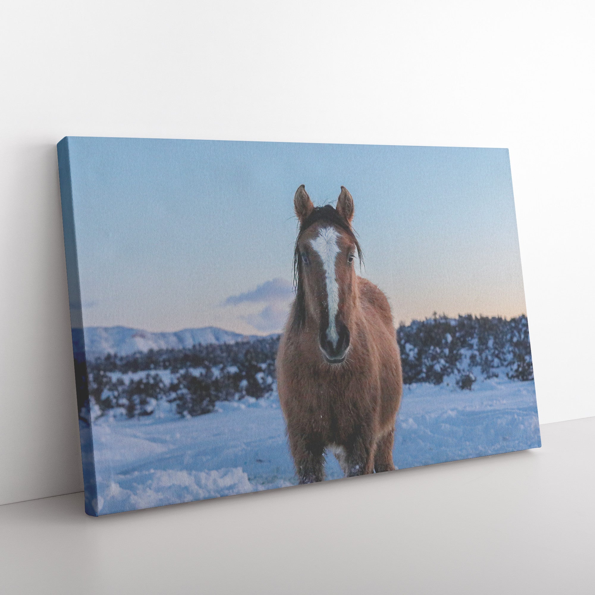 "Sunset Dreaming" Canvas Wall Hanging