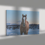 Load image into Gallery viewer, &quot;Sunset Dreaming&quot; Canvas Wall Hanging
