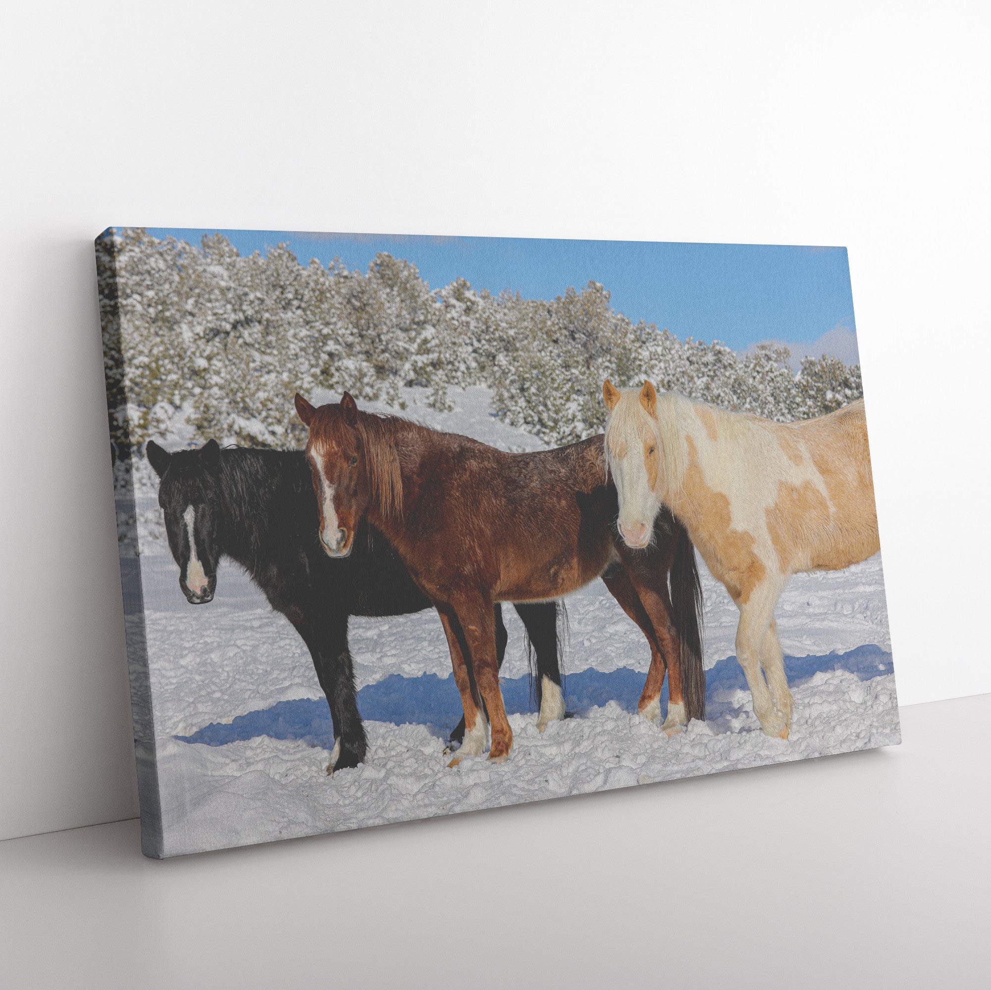 "Three Amigos" Canvas Wall Hanging